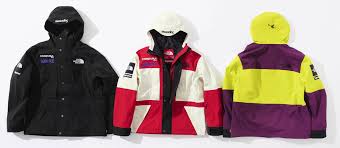 2018 supreme tnf expedition jacket