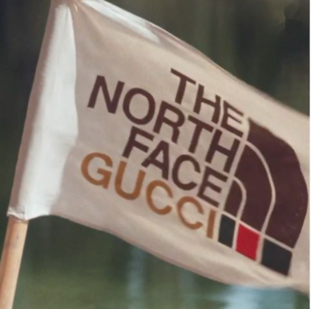 GUCCI THE NORTH FACE