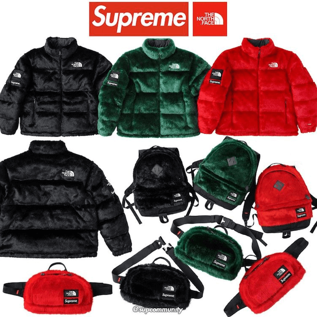 SUPREME 2020AW WEEK16 THE NORTH FACE
