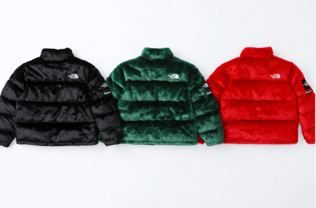 SUPREME 2020AW WEEK16 THE NORTH FACE