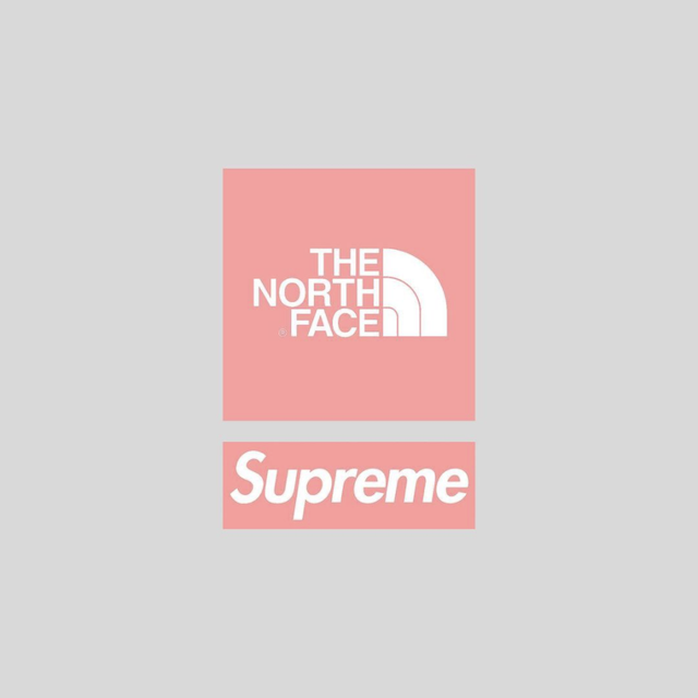 supreme the north face collection