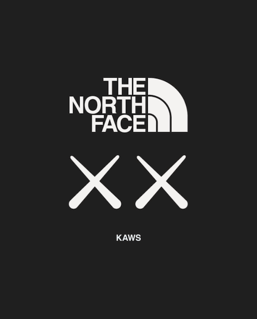 KAWS THE NORTH FACE